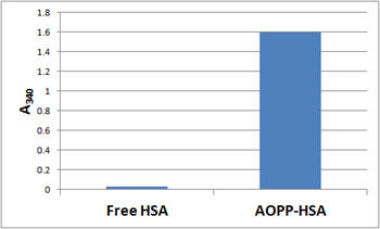 AOPP-HSAポジティブコントロールと未処理HSA