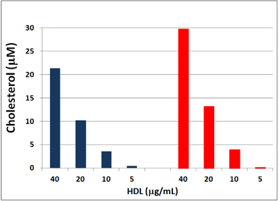 図5　精製 HDL サンプルにおけるコレステロールの検出