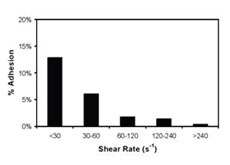 Shear Rate Map