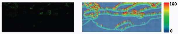 Nanopolymer Delivery for Gene Therapy