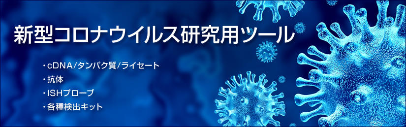 新型コロナウイルス研究用ツール（cDNA／タンパク質／ライセート、抗体、ISHプローブ、各種検出キット）