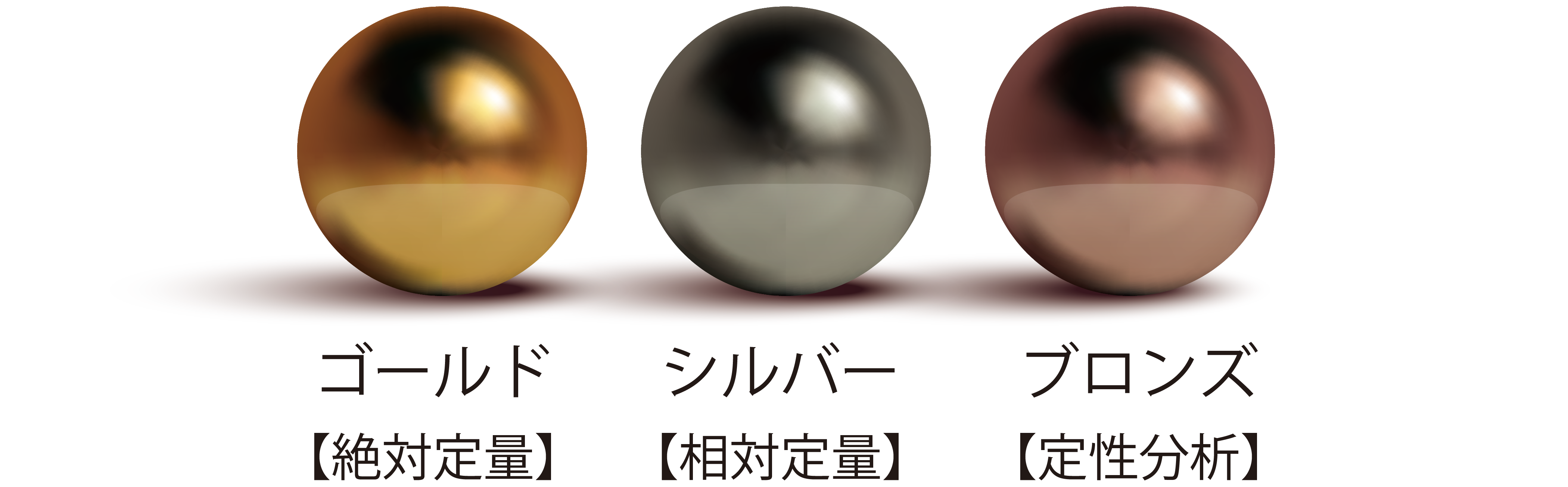 AQUA �O���[�h�y�v�`�h�����T�[�r�X�̎��