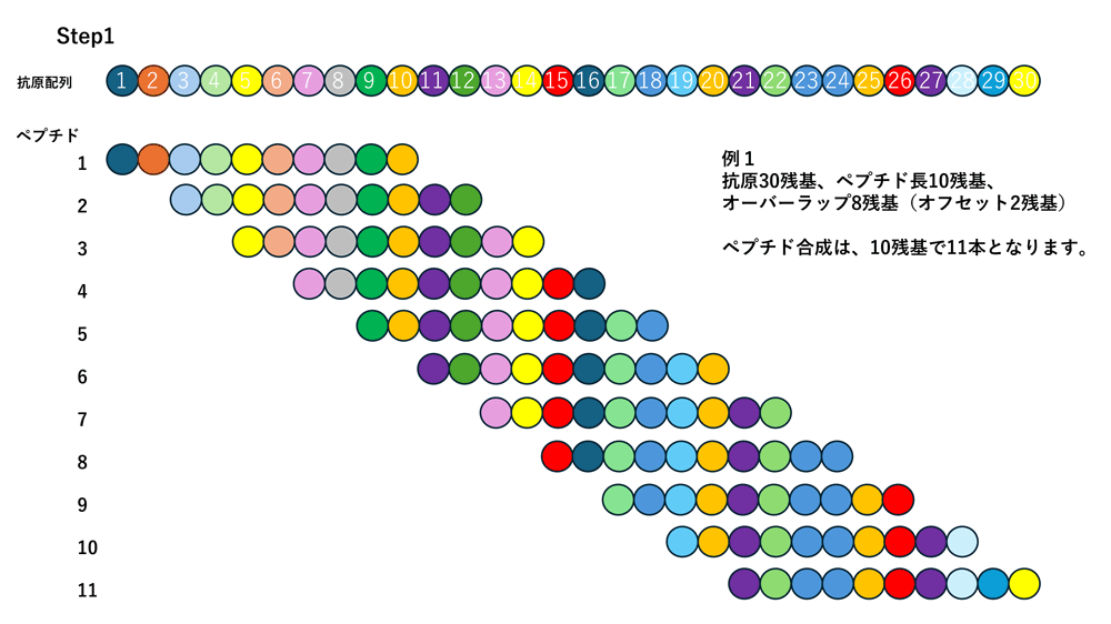 CPA_epitope_mapping_step1_1.gif