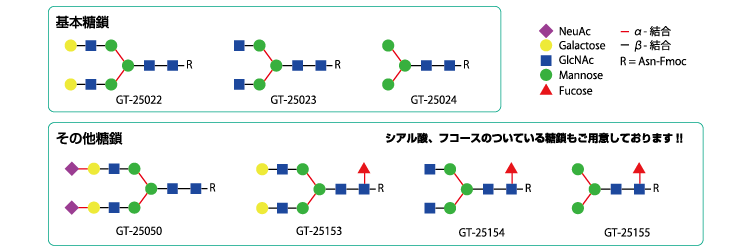 CPA_glycopeptide_02.png