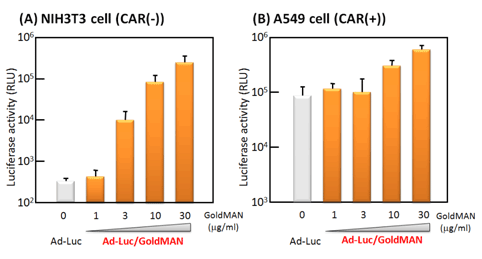 Ad/GoldMAN™複合体のNIH3T3細胞とA549細胞への遺伝子導入