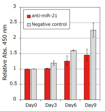 CSR_CL-AMO_Fig2.png