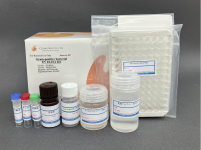 Bacterial EV ELISA Kit̏i摜