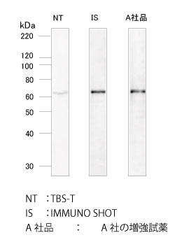 IMMUNO SHOTTBS-Tpꍇɔׂ͂邩ɋVOiB