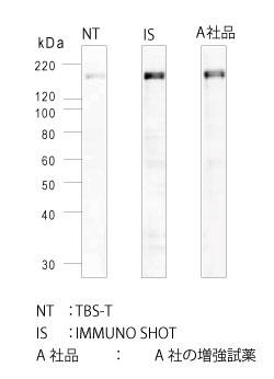 IMMUNO SHOTTBS-Tpꍇɔׂ͂邩ɋVOiB