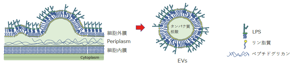 CSR_LPSEV01_01.png