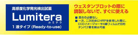 高感度化学発光検出試薬 Lumitera 1液タイプ