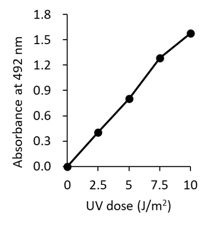 CSR_NMMAK002_fig2.png
