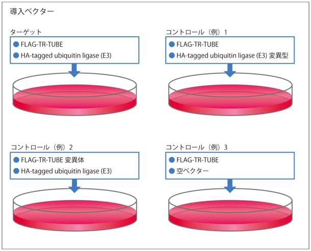 CSR_TR-TUBE_03.gif