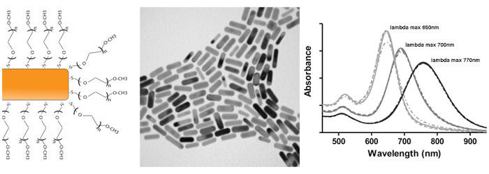 imbhiGold Nanorodsj