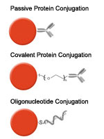 CTD_Gold-Nanoparticles-Category_04.jpg