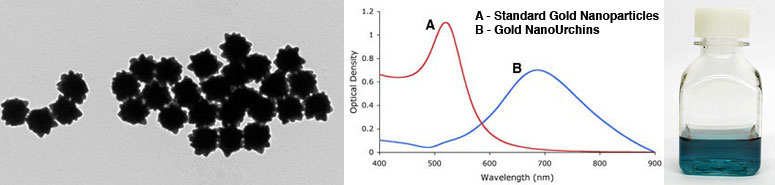 Gold NanoUrchinsiimA[`j