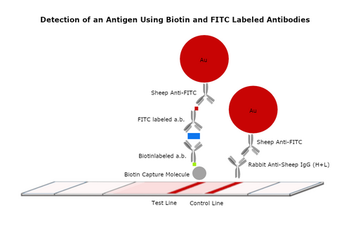 CTD_LF01910_02.png