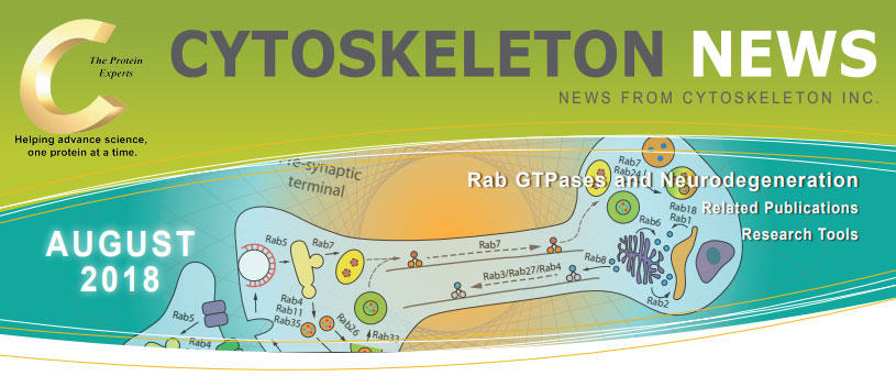 CYTOSKELETON NEWS 2018年8月号