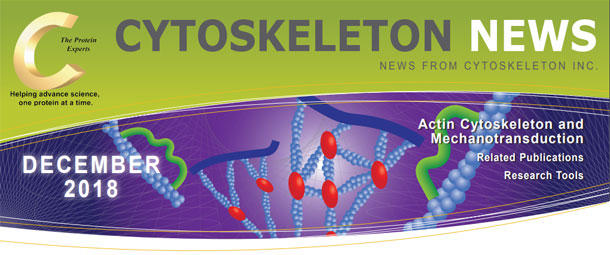 CYTOSKELETON NEWS 2018年12月号