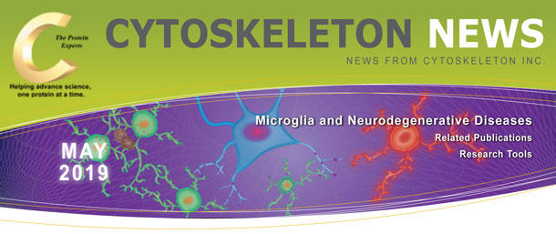 CYTOSKELETON NEWS 2019年5月号