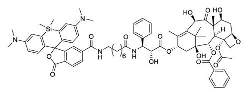 SiR-tubulin（チューブリン染色プローブ：CY-SC002）