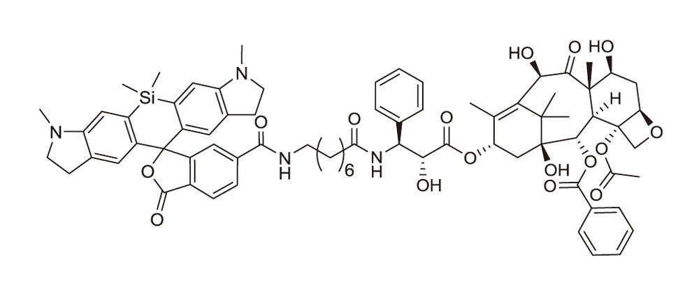 SiR700-tubulin（チューブリン染色プローブ：CY-SC014）