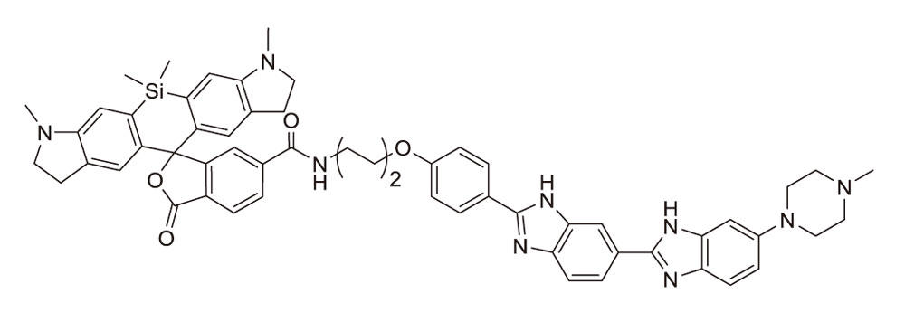 SiR700-tubulin（チューブリン染色プローブ：CY-SC015）