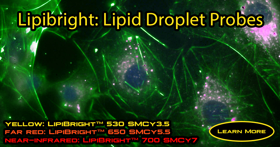 CYT_LipiBright_01.png