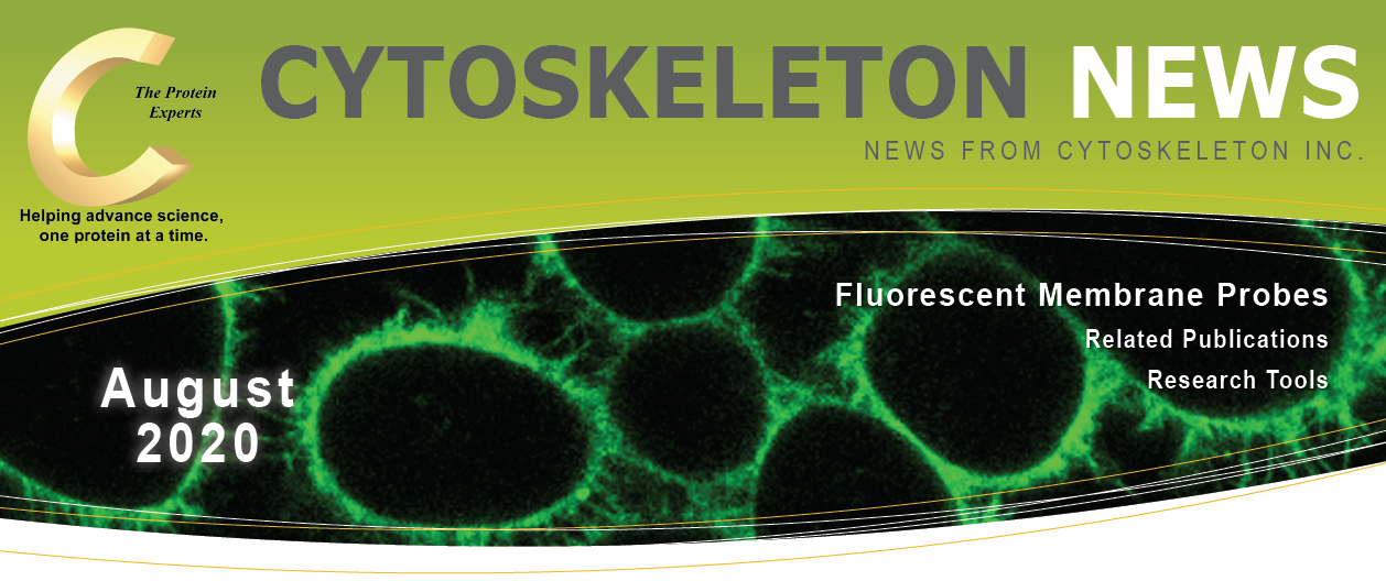 CYTOSKELETON NEWS 2020年8月号