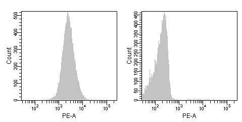 R-PhycoerythrinWR̂pHL60זĚuF