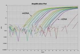 DRD_mtDNA_PCRkit_02_left.jpg