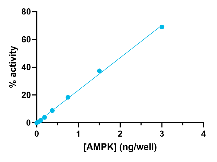 AMPK 活性測定