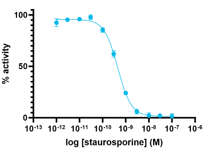 Staurosporine による阻害曲線
