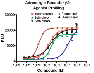 Adrenergic receptor Beta2のアゴニスト(低分子)プロファイリング
