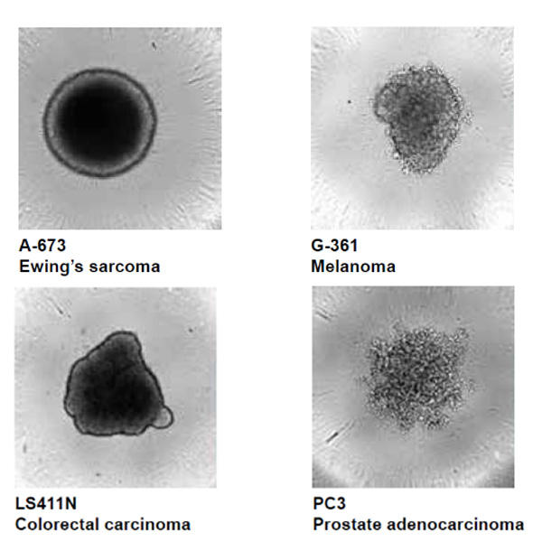 DRX_OncoPanel_fig2.jpg