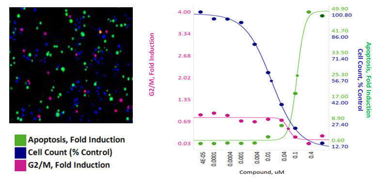 DRX_OncoPanel_fig4.jpg