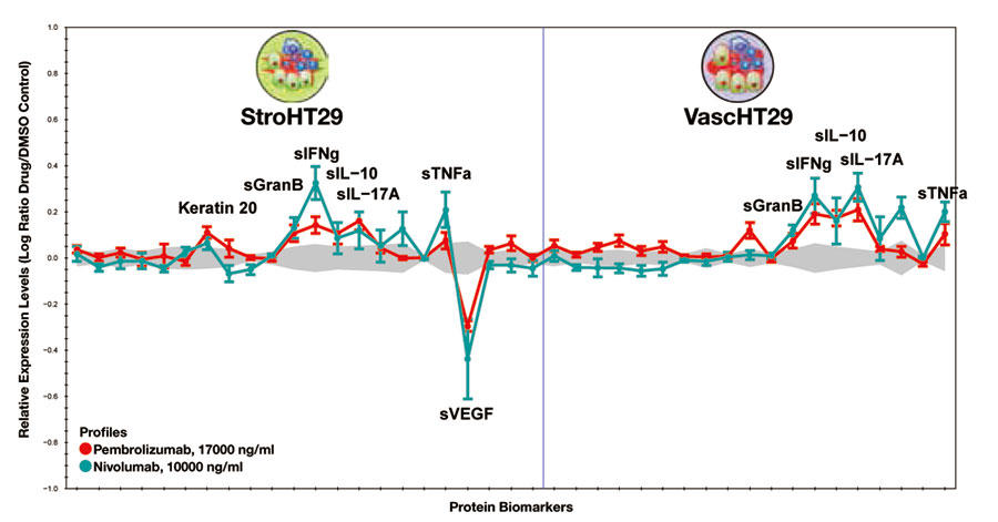 Biomap Oncology Panelサービスeurofins 社 複雑ながんの微小環境下での薬効評価が可能な Phenotypic Profiling サービス 複雑ながんの微小環境下での薬効評価が可能な Phenotypic Profiling サービス コスモ バイオ株式会社