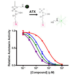 Autotaxin Cqr^[XN[jOLbg̎gp