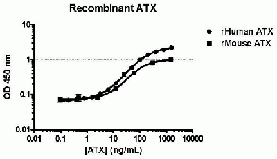 Autotaxin Sandwich ELISA