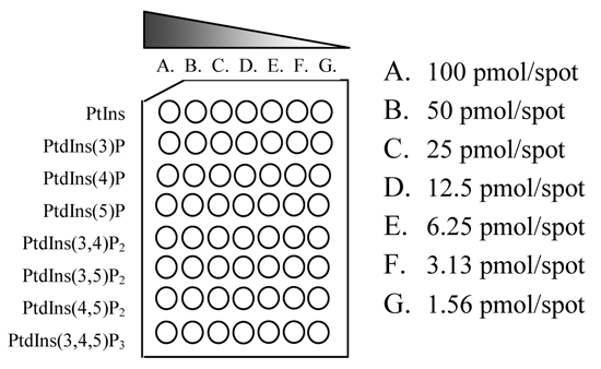 8ޑSĂ zXzCmV`ZxzăX|bg