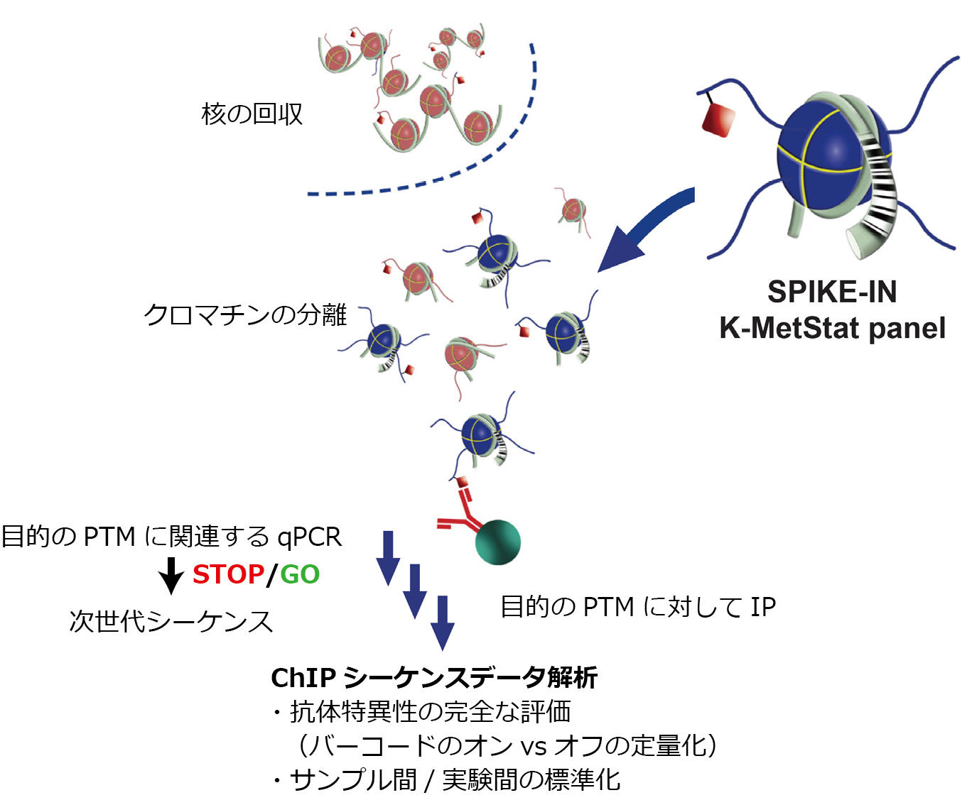 SNAP-ChIP K-MetStat Panel