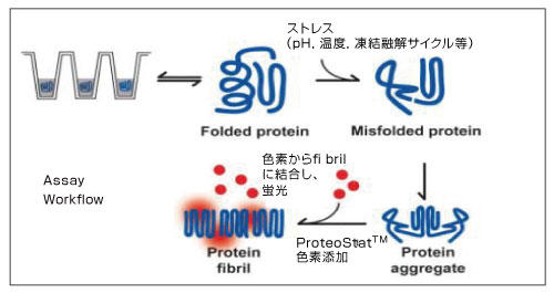 ProteoStat ^pNÏWo̎gp