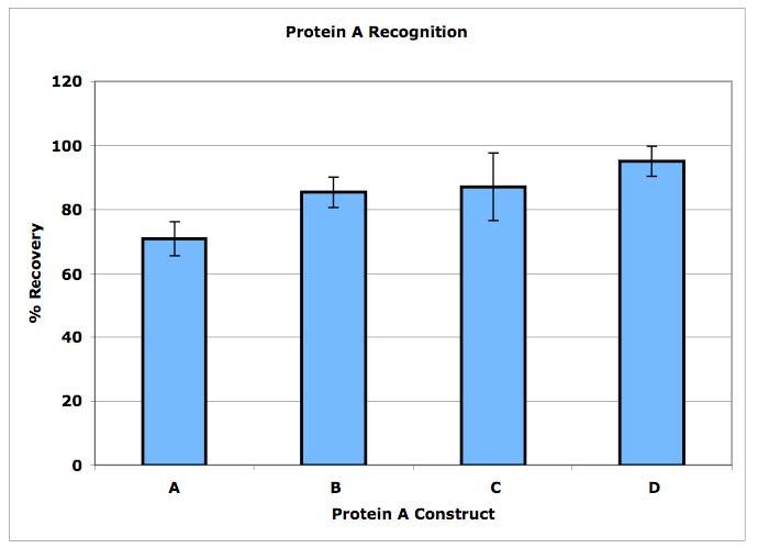 lXProtein AoAǧo