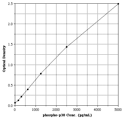 X^_[hJ[u - p38 ELISA Lbg