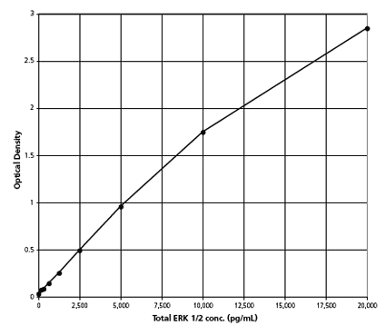 X^_[hJ[u - Erk1/2  ELISA Lbg