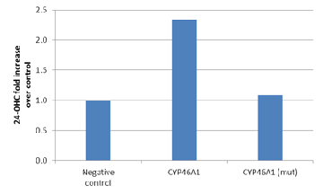^CYP46A1ƕψCYP46A1gXtFNVזE̔|{㐴24-OHCx