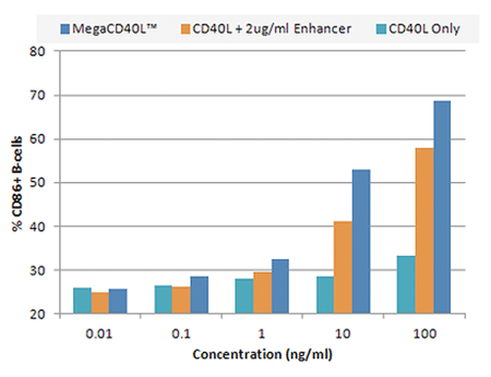 MＥＧＡCD40L?とCD40L(品番：ALX-850-064)とのB細胞の活性化比
