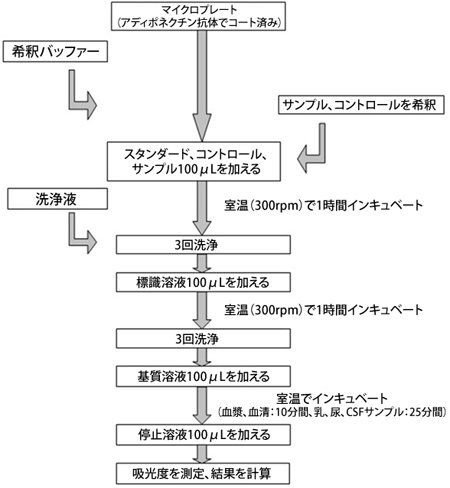 AfB|lN`ELISALbg̑菇