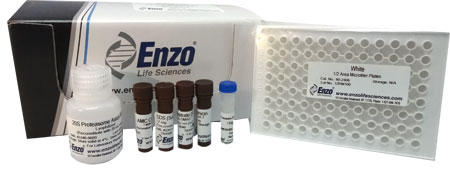 Proteasome 20S assay kit