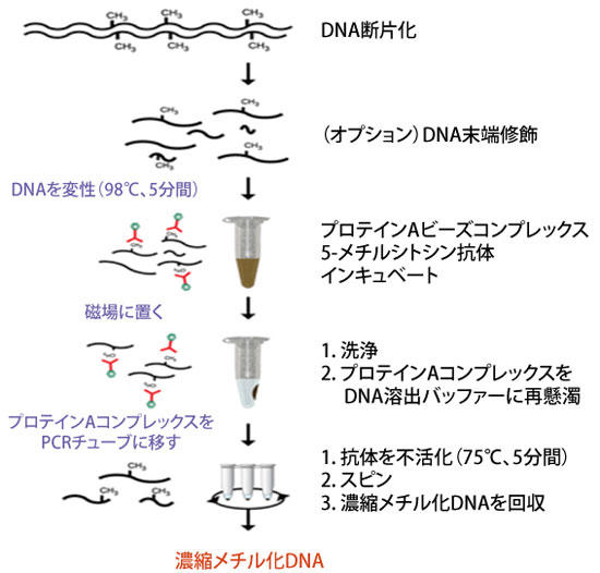 `DNA IPLbg@Tv